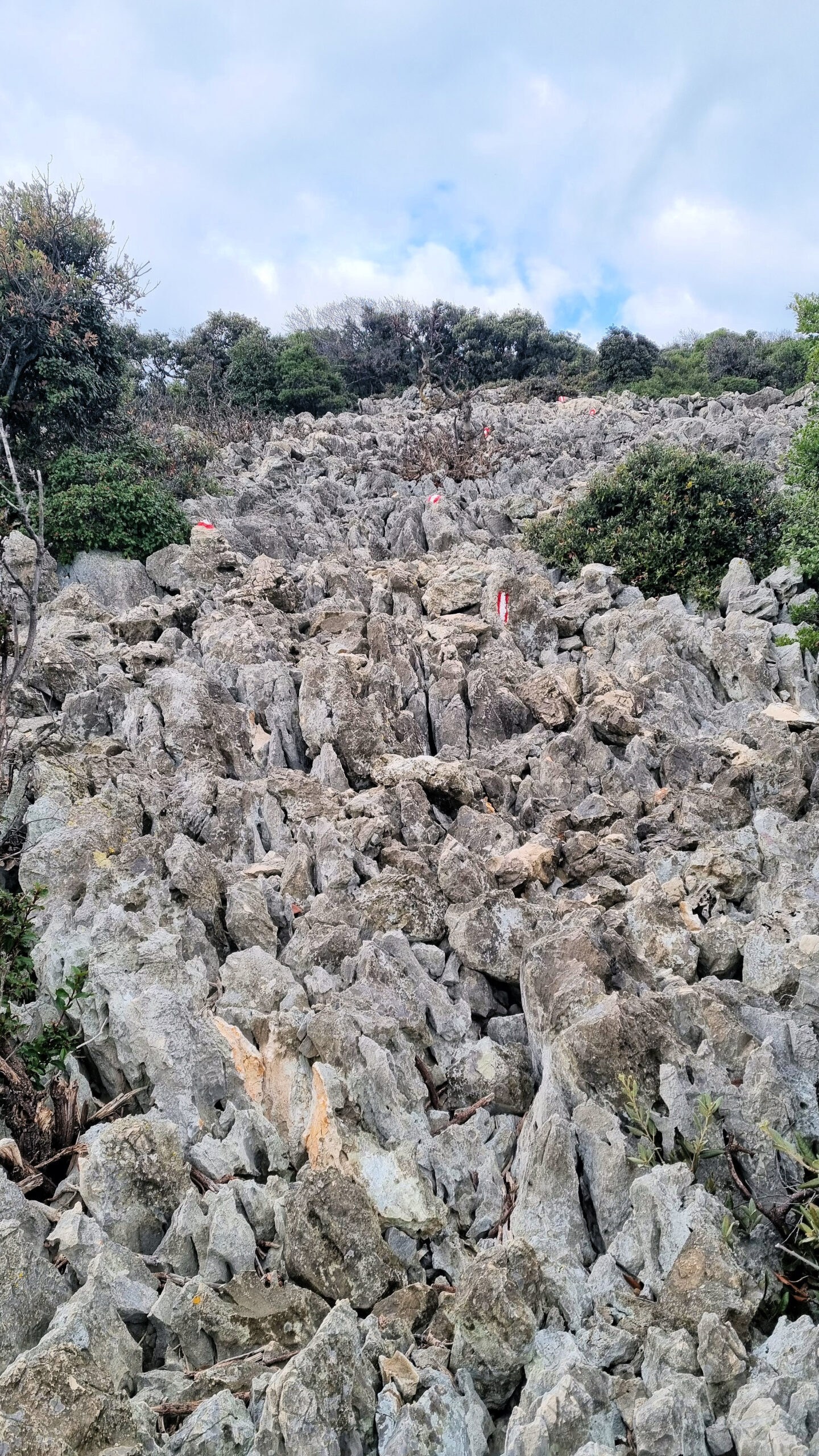 Ostro kamenje Kalcic