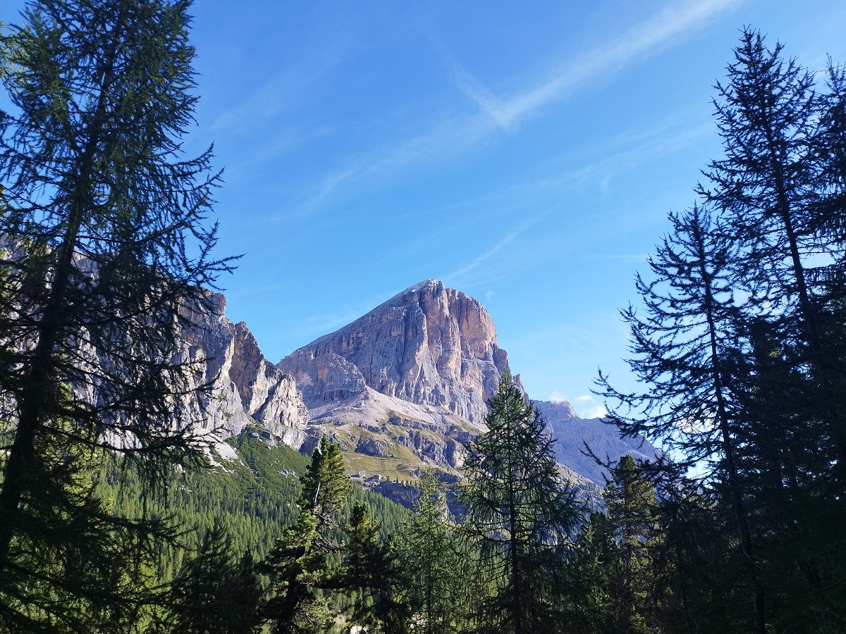 2 Tofana di Rozes