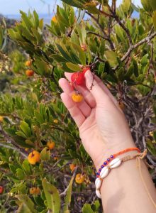 9e1960c7 6d93 495b b333 11328140a26a