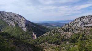 D3e5a7c1 ecf6 4745 bf3f 6a5b1be8ef72