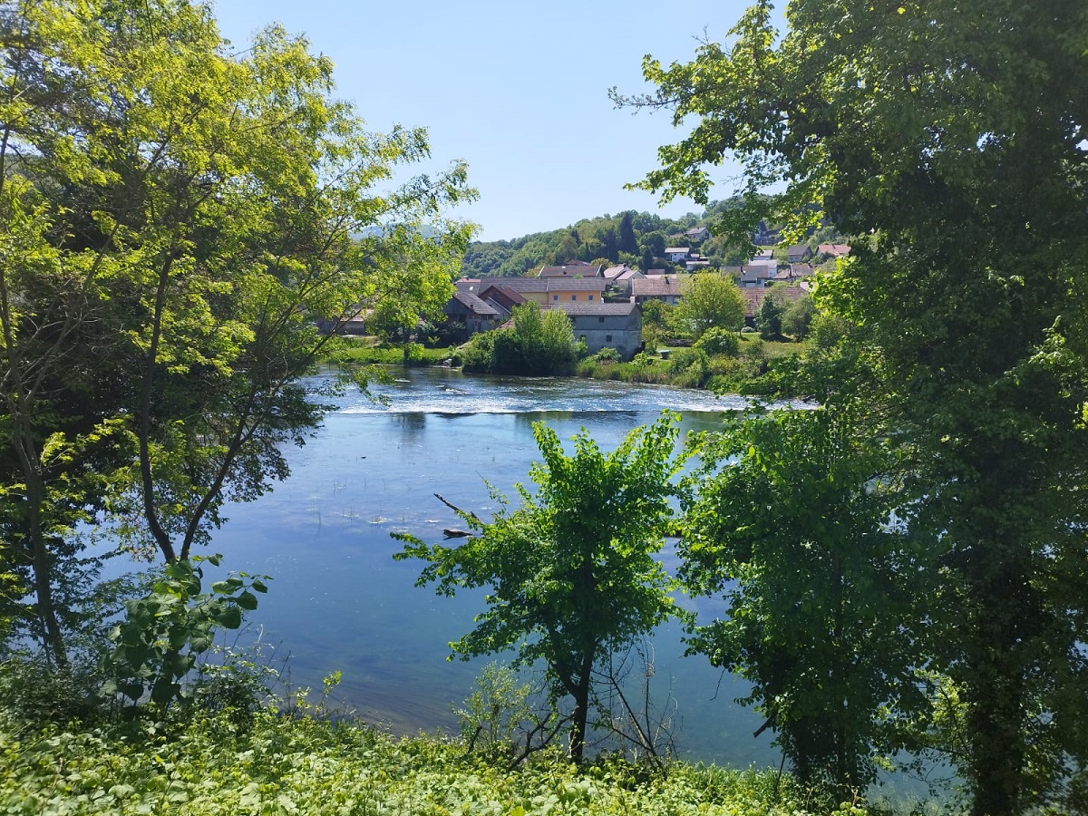 Brežice6