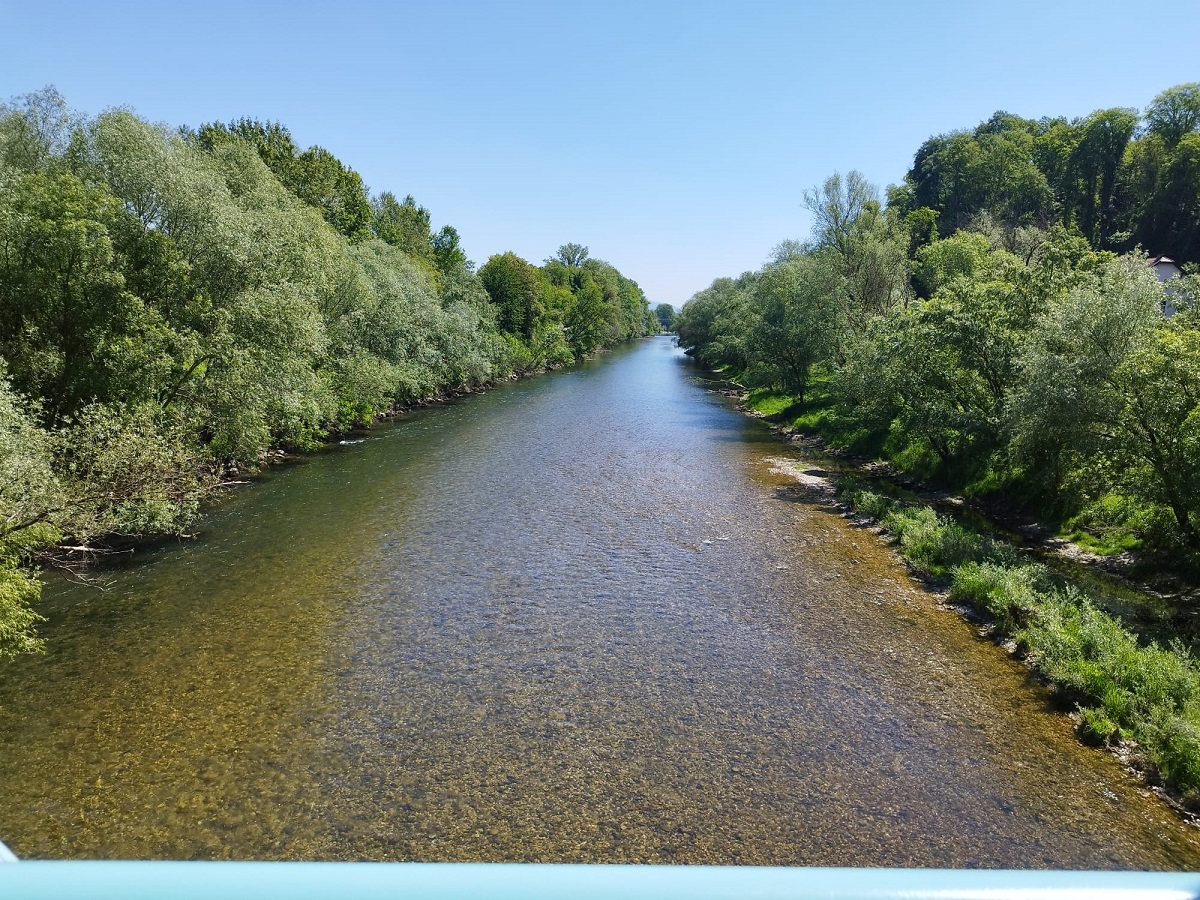 Brežice7