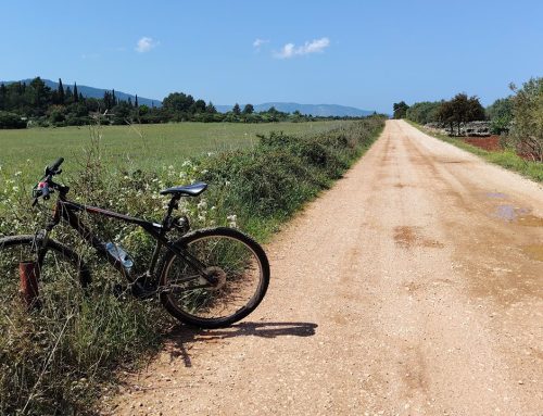Hvar Bike — the ideal island for cycling