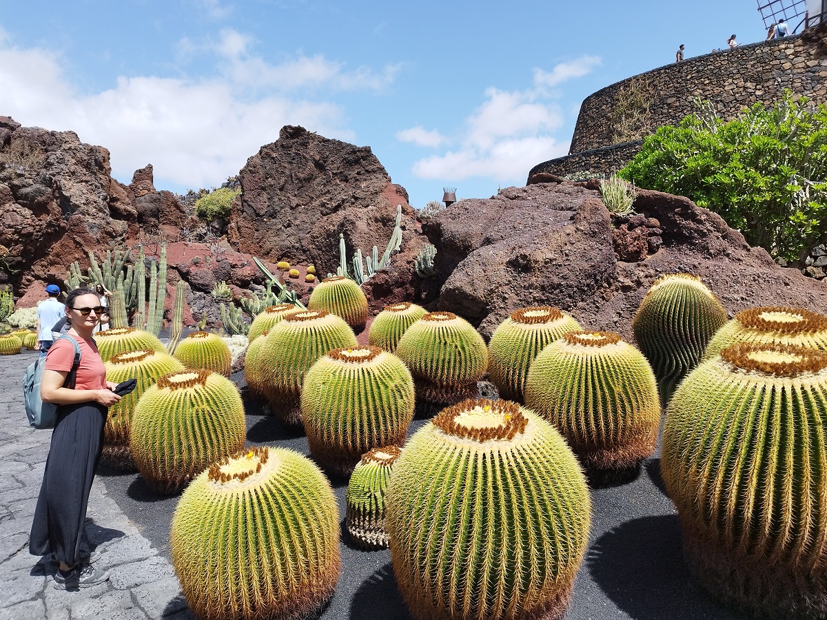 JAR4 Jar4
