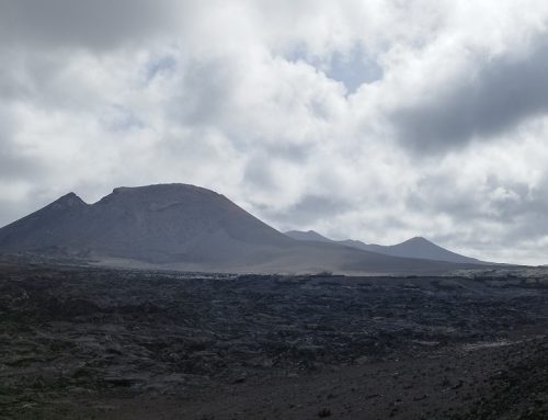 To be a king camel on volcanic Lanzarote (part 1, The Canary Islands)